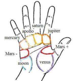 illustration of the mounts in palmistry